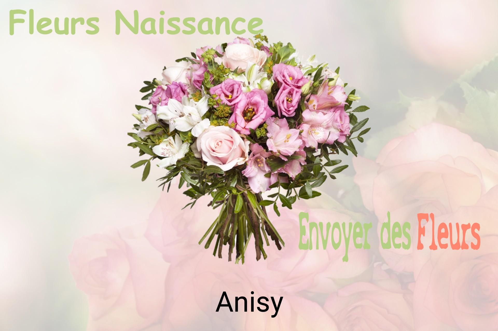 Bouquet de fleurs de naissance livré à Anisy